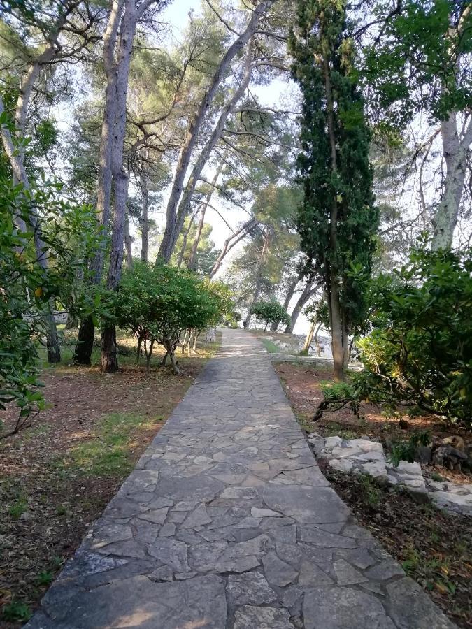 מאלינסקה Apartment Fancy מראה חיצוני תמונה